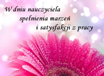 Różowy kwiat z kroplami deszczu w dniu nauczyciela